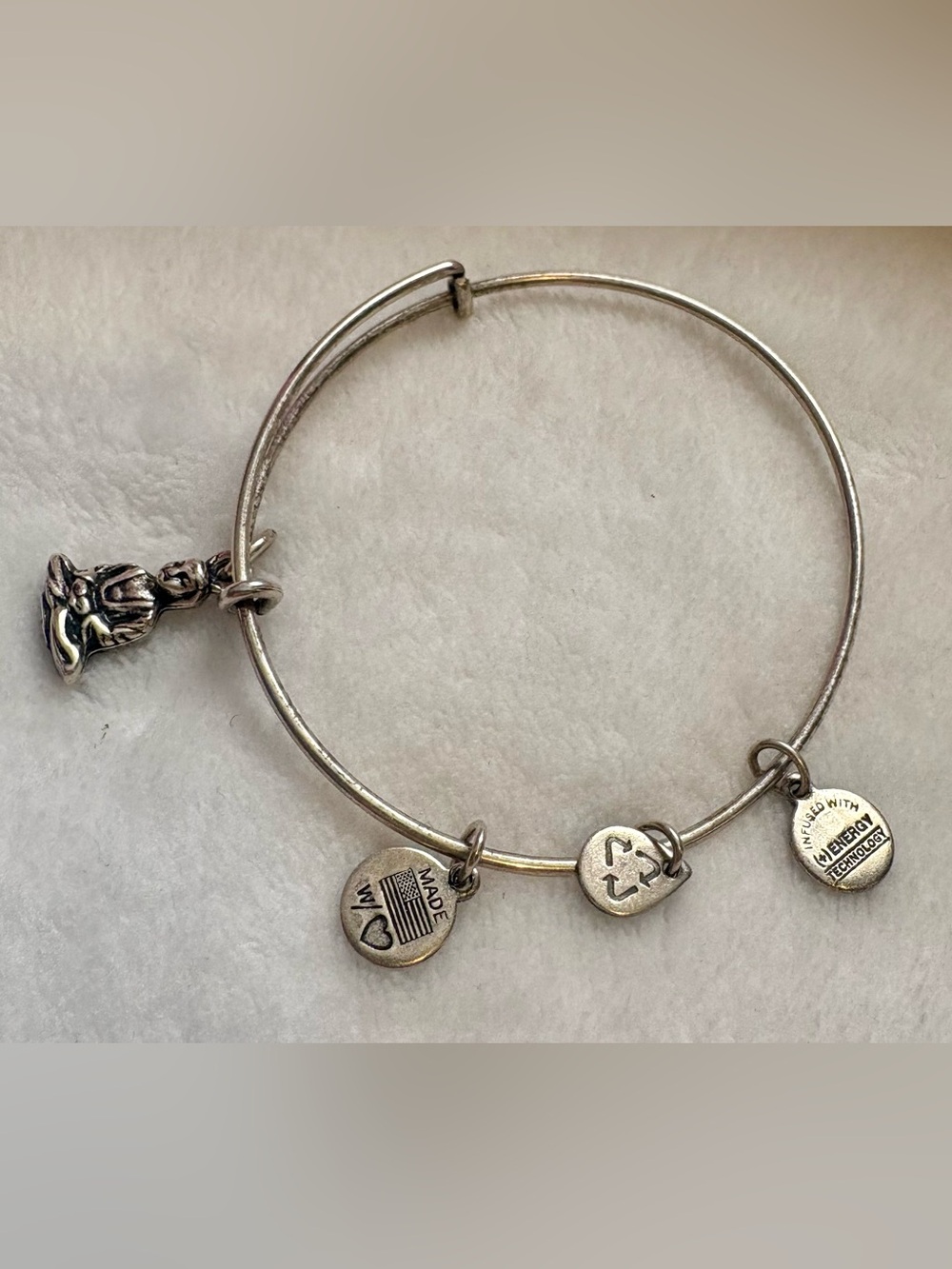 Alex and Ani Silver Tone Charm Bangle Bracelet